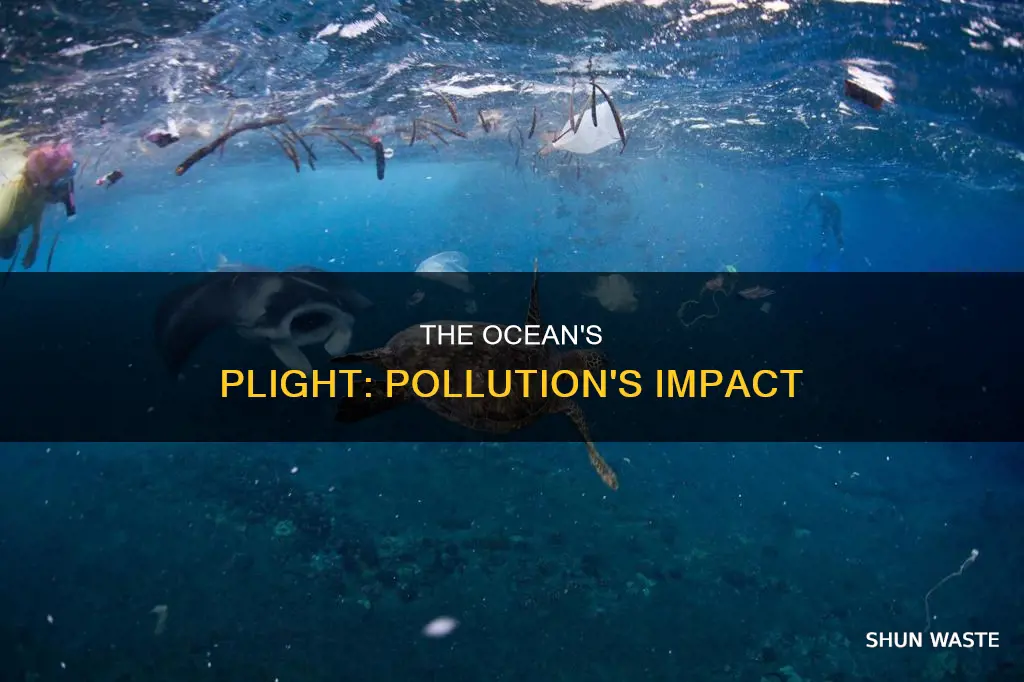 are the oceans polluted