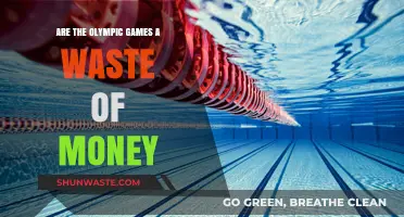 Are Olympic Games Worth the Cost? A Critical Analysis