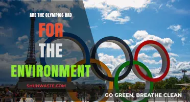 Olympics' Environmental Impact: Sustainable Celebration or Ecological Burden?