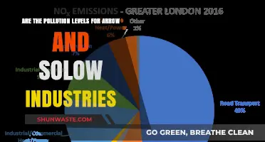 Arrow and Solow: Pollution Levels Compared