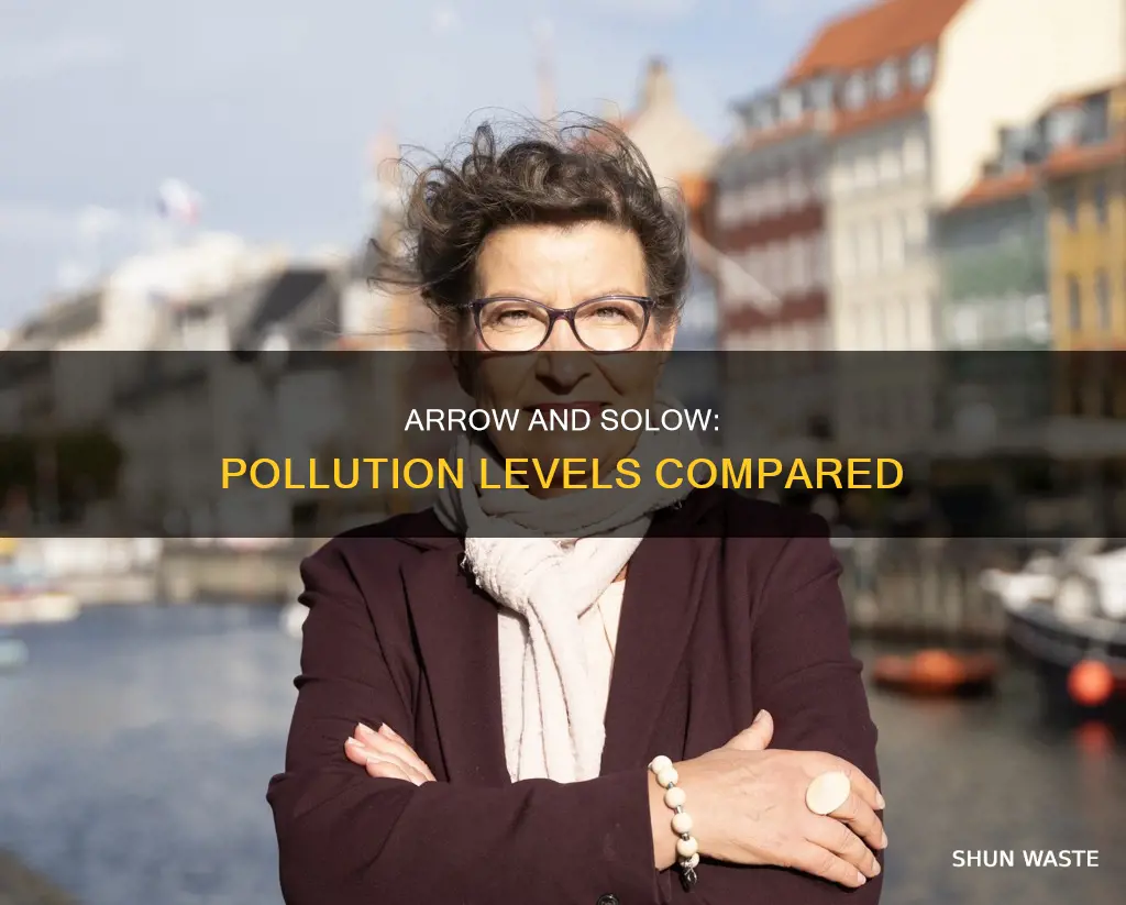 are the pollution levels for arrow and solow industries