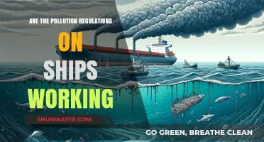 Pollution Regulations: Are Ships Sinking the Standards?