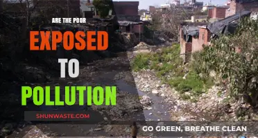 Pollution's Inequality: Poor Suffer More