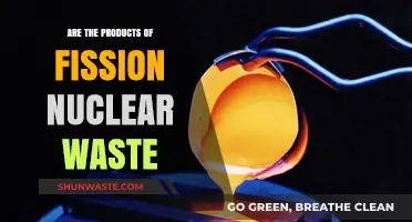 Fission Byproducts: Understanding Nuclear Waste from Atomic Reactions