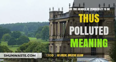 Exploring the Meaning of Pemberley's Pollution