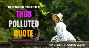 Pemberley's Pollution: Exploring the Quote's Nuance