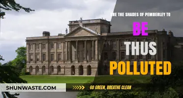 Pemberley's Pollution: Shades of Grey in Pride and Prejudice
