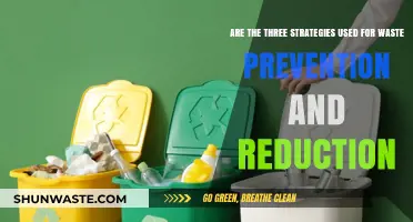 Effective Strategies for Waste Prevention and Reduction: A Comprehensive Guide