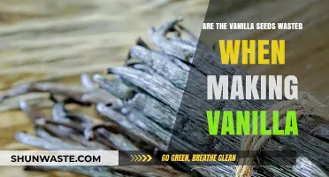 Maximizing Vanilla Flavor: Are Seeds Wasted in Extraction?