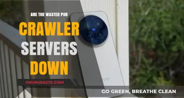 Wasted Pub Crawler Servers: Are They Currently Experiencing Downtime?