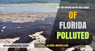 Florida Gulf Coast Waters: Polluted or Pristine?