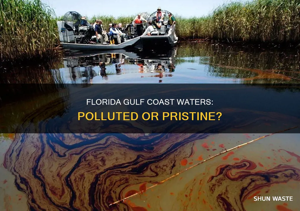 are the waters in the gulf coast of florida polluted
