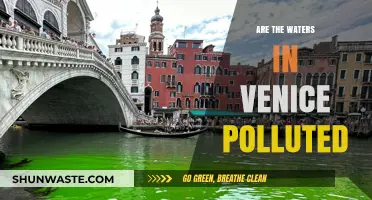 Venice's Water Pollution: A City's Battle for Clean Waters