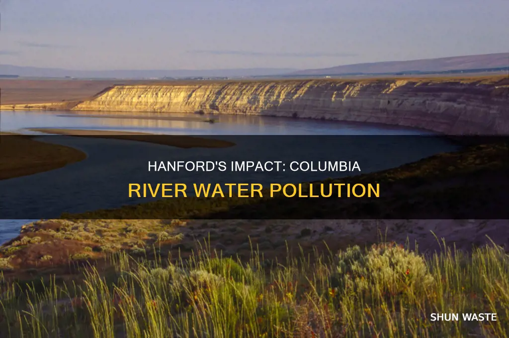 are the waters on the columbia river polluted from hanford