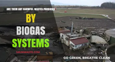 Biogas Systems and Waste: Are There Hidden Environmental Risks?