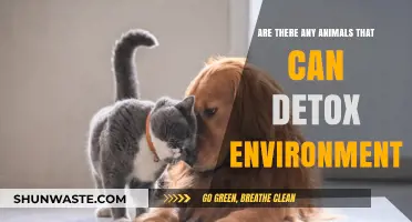 Animals as Eco-Warriors: Can They Naturally Detox Our Environment?