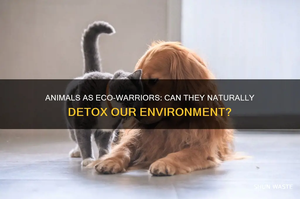 are there any animals that can detox environment