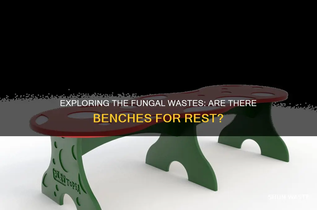 are there any benches in the fungal wastes