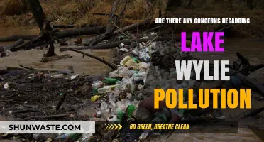 Lake Wylie Pollution: What Are the Concerns?