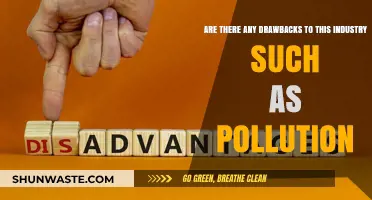 The Dark Side of Industry: Pollution and its Drawbacks
