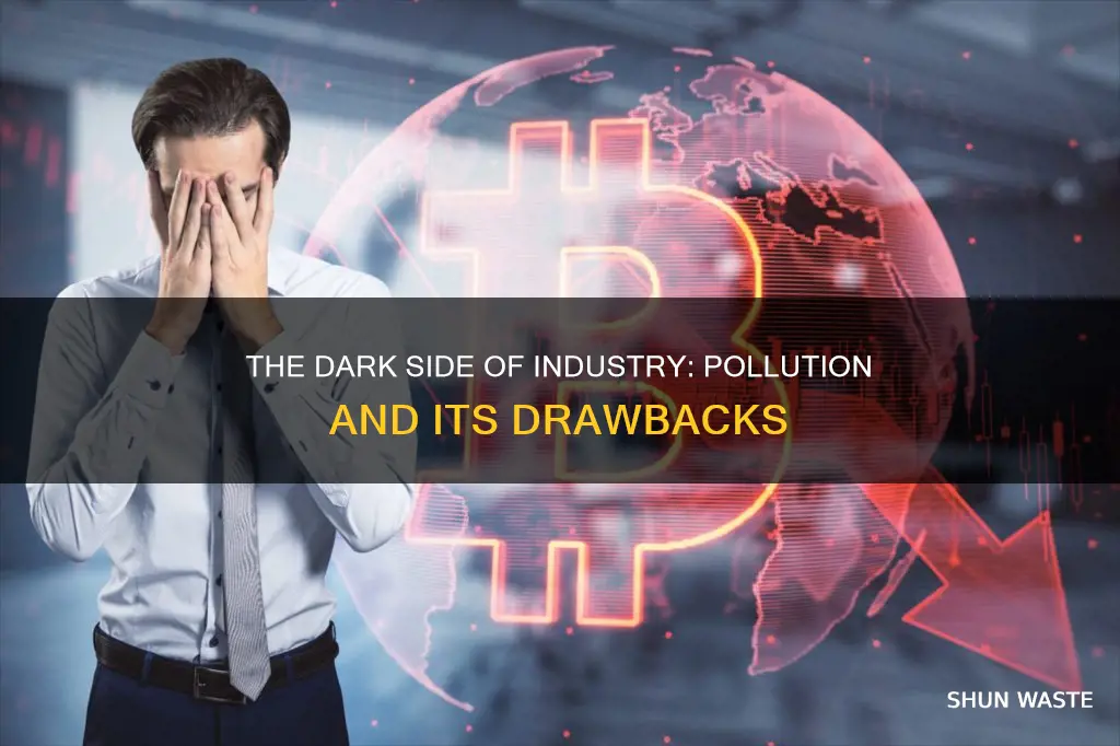 are there any drawbacks to this industry such as pollution