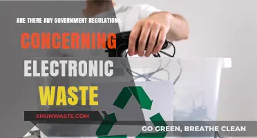 Government Regulations on E-Waste: What You Need to Know