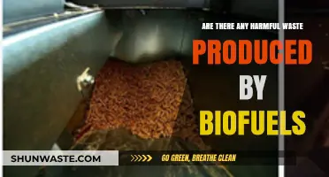 Biofuels and Harmful Waste: Uncovering Environmental Impacts and Concerns