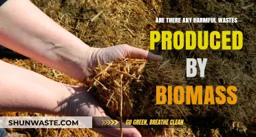 Biomass Waste: Uncovering Potential Harmful Byproducts and Environmental Impacts