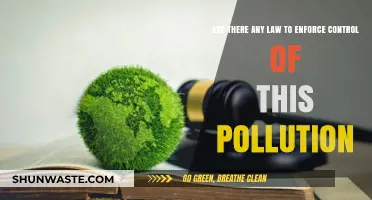 Regulating Pollution: Are There Laws to Control It?