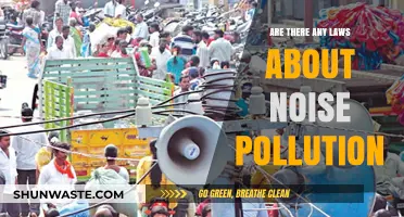 Noise Pollution: Understanding Legal Boundaries