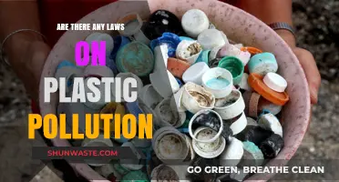 Plastic Pollution: What Laws Are in Place?