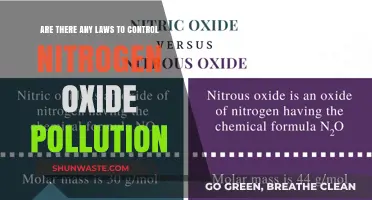 Nitrogen Oxide Pollution: Laws and Control Measures