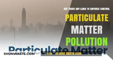 How Do Laws Control Particulate Matter Pollution?