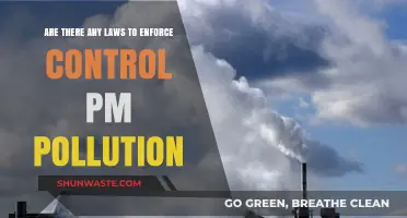 Controlling PM Pollution: What Laws Are Enforced?