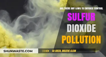 How Do Laws Control Sulfur Dioxide Pollution?