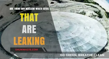 Leaking Nuclear Waste Sites: Uncovering the Hidden Environmental Threats