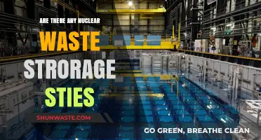 Exploring the Global Network of Nuclear Waste Storage Facilities