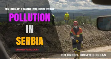 Serbian Pollution: Who's Fighting for Change?