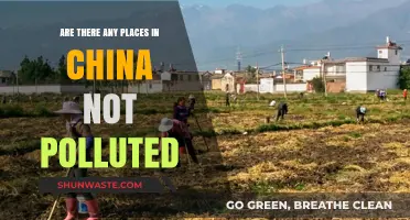 China's Cleanest Places: Escaping Pollution