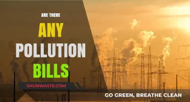 Pollution Bills: What's Being Done to Fight Pollution?