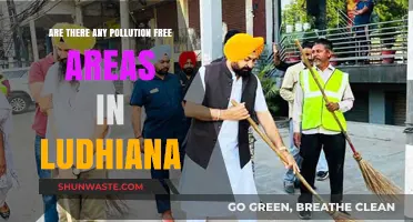The Clean Air Challenge: Pollution-Free Zones in Ludhiana