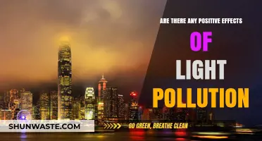 Light Pollution: Any Silver Linings to This Dark Cloud?