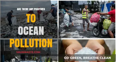 Ocean Pollution: Any Silver Linings?