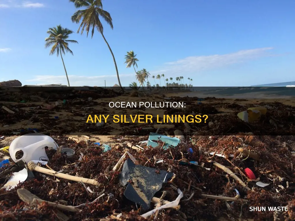 are there any positives to ocean pollution