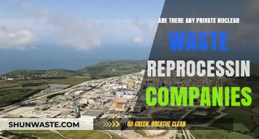 Private Nuclear Waste Reprocessing: Exploring Companies and Their Role