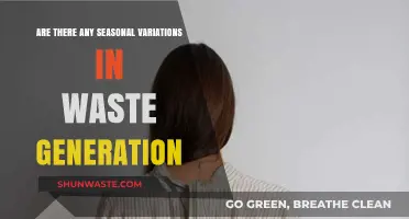 Seasonal Shifts in Waste: Uncovering Generation Patterns Throughout the Year