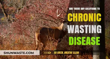 Combating Chronic Wasting Disease: Exploring Potential Solutions and Strategies