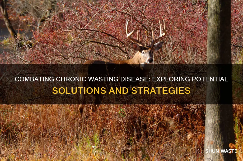 are there any solutions to chronic wasting disease