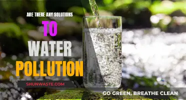 Overcoming Water Pollution: Solutions for a Healthier Planet