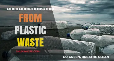 Plastic Waste Crisis: Uncovering Hidden Threats to Human Health